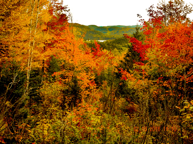Paysage d'automne Chemin du Lac Éternité, Rivière-Éternité, QC G0V, Canada