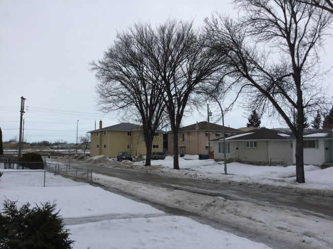 My nabber hood in east kildonan Winnipeg, Manitoba | R2K 1W2