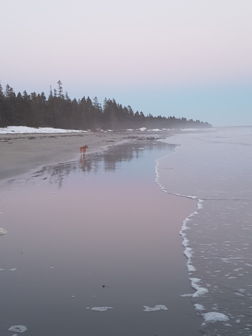 Low tide Rissers Beach Provincial Park, NS