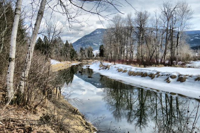 The Shuswap River in Enderby, B.C. Enderby, BC