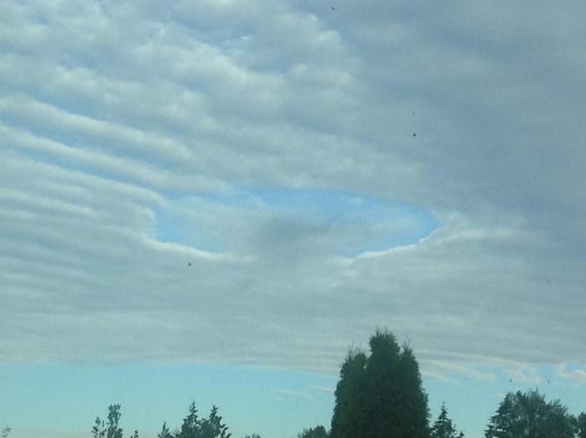 Rare "Hole Punch" cloud Harrison St, Maple Ridge, BC