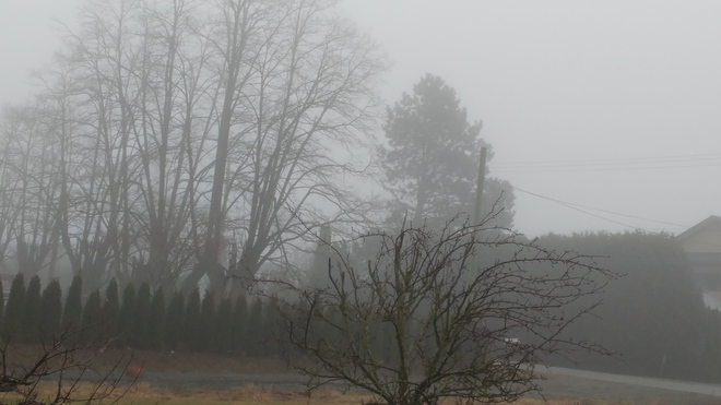 Fog ' O ' Mornin' to yaðŸ˜„ðŸ˜„ Abbotsford, BC