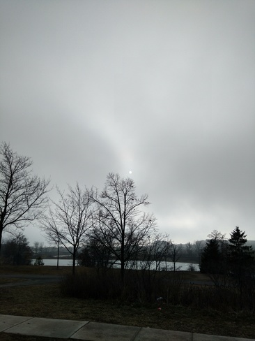 Foggy afternoon Oakville, ON