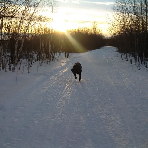 Sun down on the trail Sudbury, ON