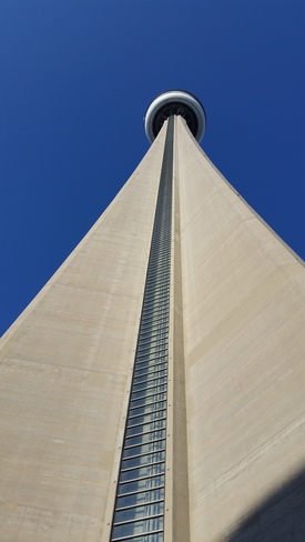 Look Up...look waaaay up!! Toronto, ON