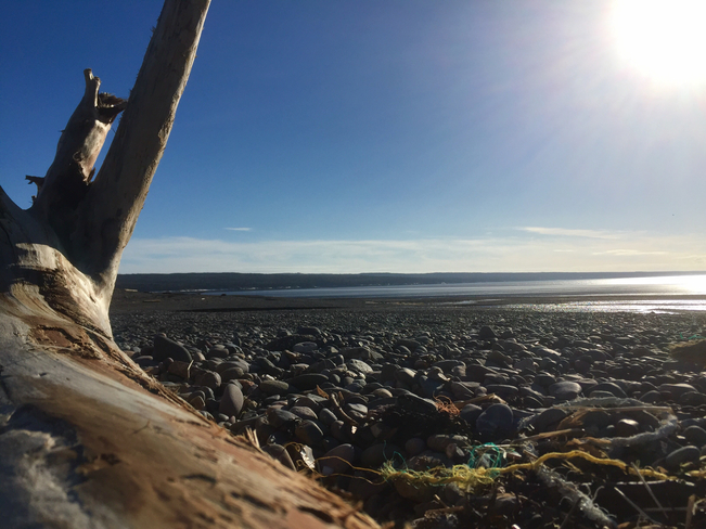 February Beach Day??ðŸ˜³ Scots Bay, Nova Scotia, CA