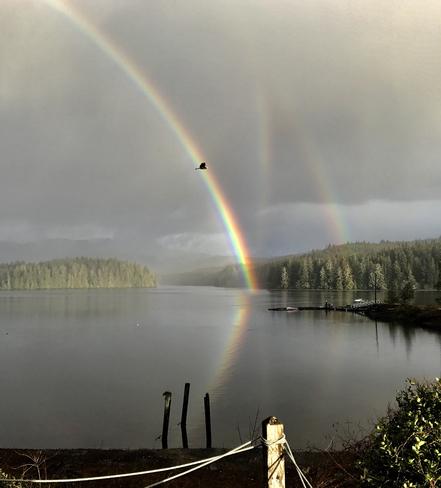 Triple rainbow Winter Harbour, British Columbia, CA