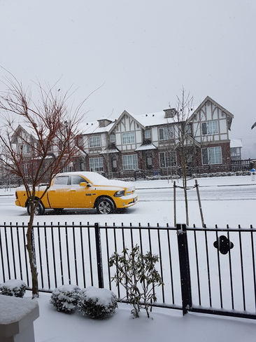 Snowing again! Abbotsford, BC