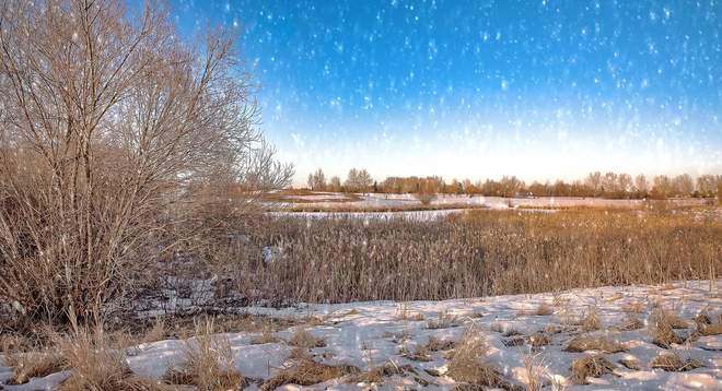 snowy afternoon!! Saskatoon, SK