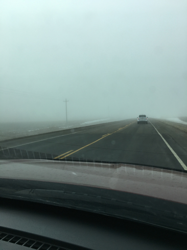 Foggy road Trochu, Alberta, CA
