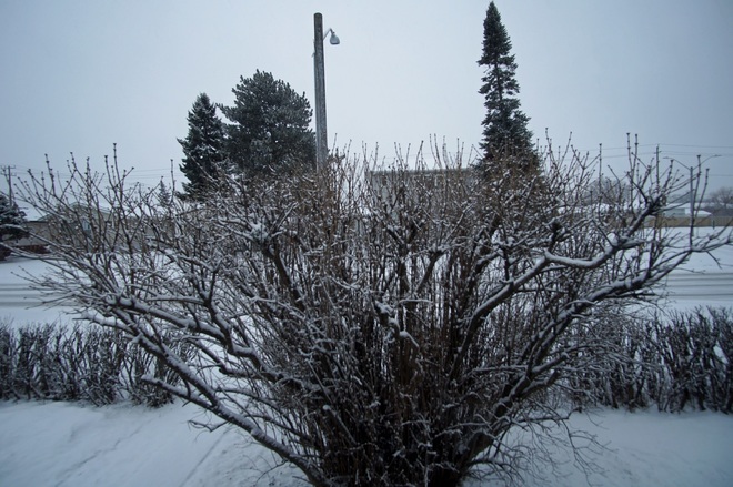 Late snow in Thunder Bay Thunder Bay, ON