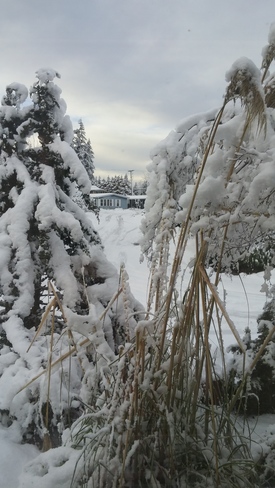 winter in surrey bc Surrey, BC