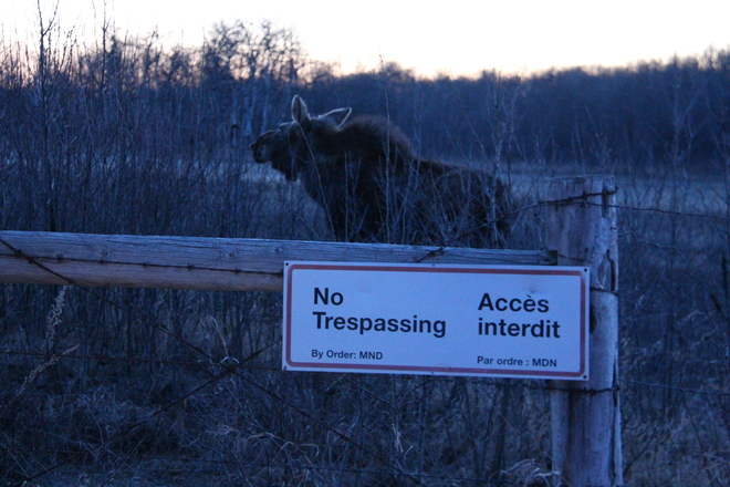 I will trespass if I want to Saskatoon, SK