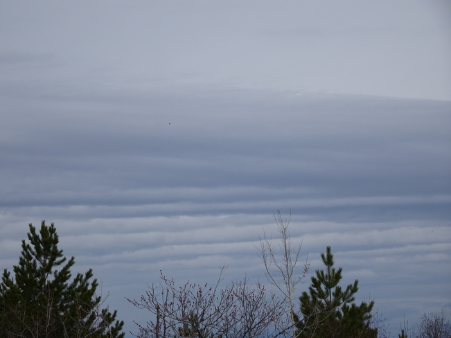 Clouds Sudbury, ON