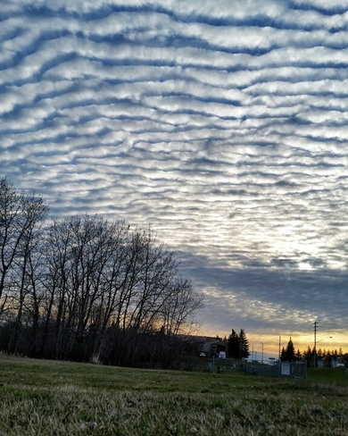 A sky full of gravity wave clouds Brandon, MB