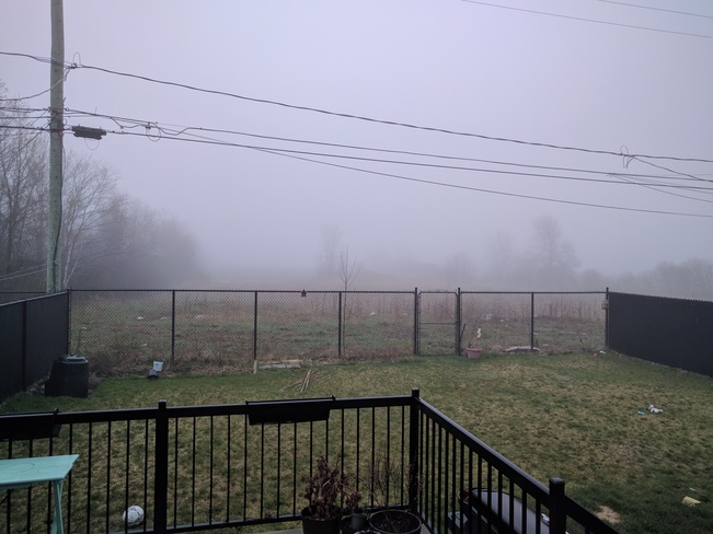 Morning Fog Mercier, QC