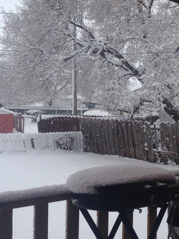 Snowy morning Rosetown, Saskatchewan, CA