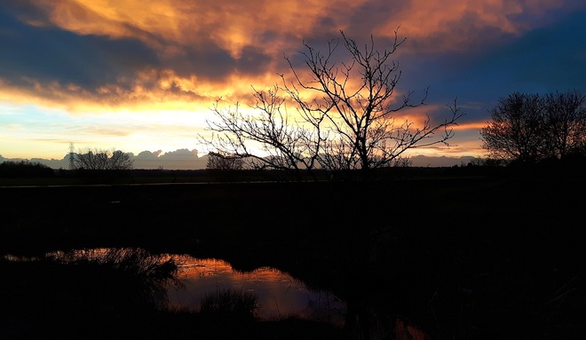 Beautiful evening after the rain Alliston, ON