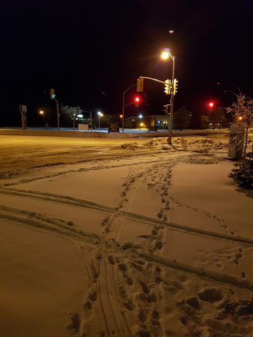 what a mess! Almost May? Thunder Bay, ON