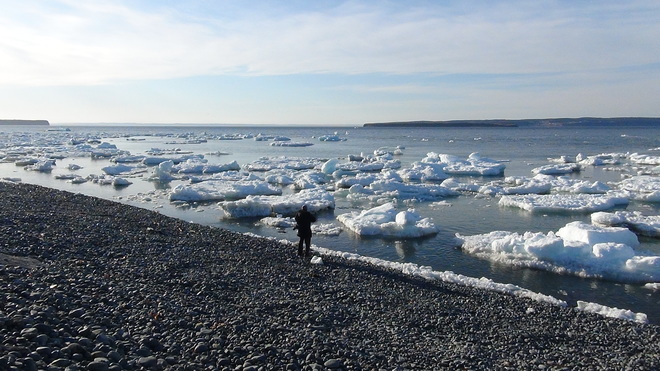 Sea ice, Floes, Icebergs Avalon Peninsula Newfoundland and Labrador