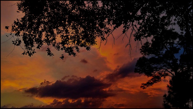 Colorful Twilight Palm Bay, FL, United States