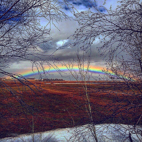 Rainbow Wolfville, Nova Scotia, CA