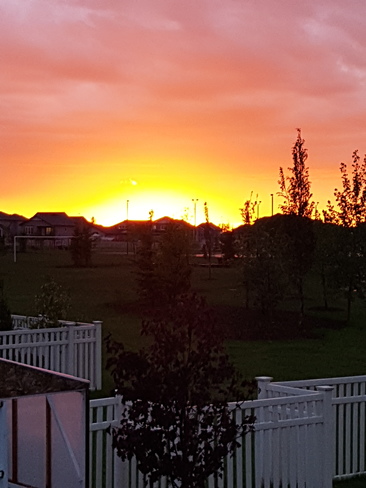 Photo from my balcony. What a view. Red Deer, AB