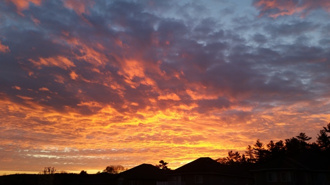 sunrise Picton, ON