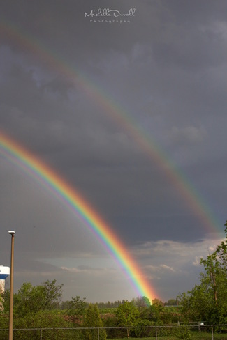 Rainbows Elora, ON