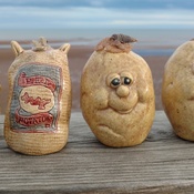 PEI spuds catching a few rays