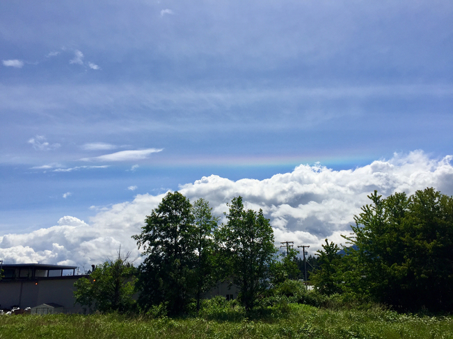 Pride Rainbow â¤ï¸ðŸ’›ðŸ’šðŸ’™ðŸ’œ Nanaimo, British Columbia, CA