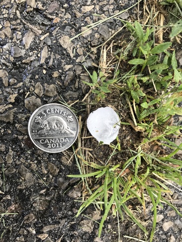 Hail 3 Warbler Ln, Port Rowan, ON N0E 1M0, Canada