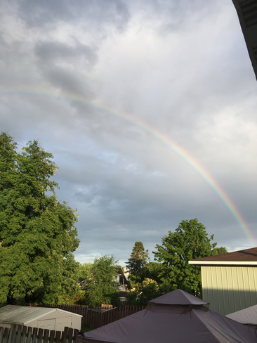 Bright rainbow after showers Sault Ste. Marie, Ontario, CA