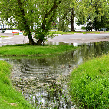 Flooding turtle pond Belleville