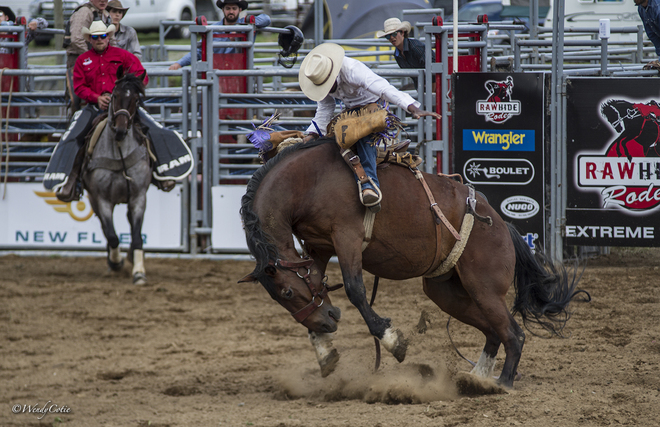 Animal Athletes RULED the 3rd Annual Arnprior Stampede Arnprior, ON