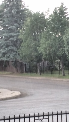 Driving rain. Saskatoon, SK