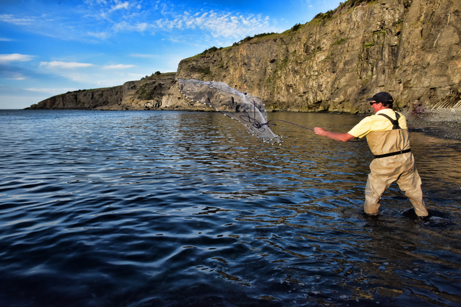 Throwing The Net For Capelin Middle Cove, Logy Bay-Middle Cove-Outer Cove, NL