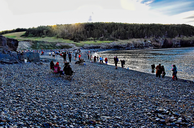 The Gathering Of The Masses Middle Cove Beach