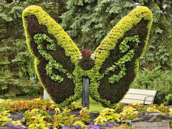 Papillon fait de plantes 2480 Boulevard Hochelaga, Ville de Québec, QC