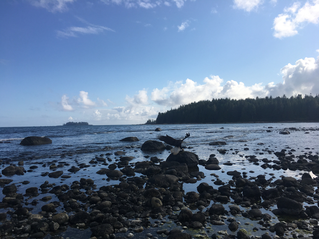 SoDamnLuckyVacations at Mussel Beach! Ucluelet, British Columbia, CA