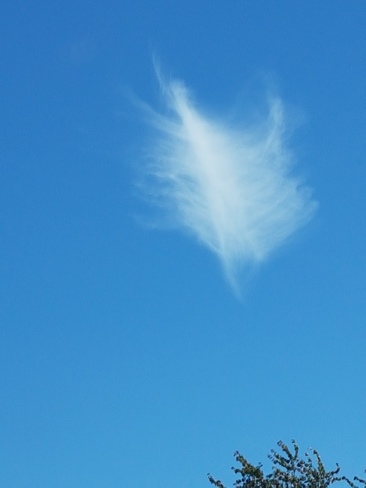 angel cloud Abbotsford, BC