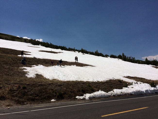 Snow in the Summer in Rocky 1-117 Aspen Dr, Lyons, CO 80540, USA