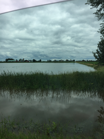 Flooded Fields in Brinston Brinston, Ontario, CA