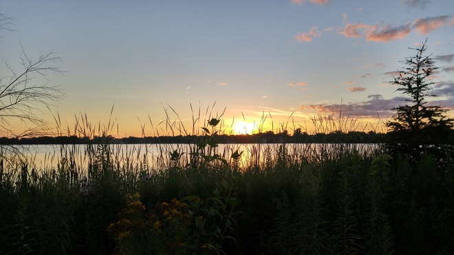 sunset Wilcox Lake, ON