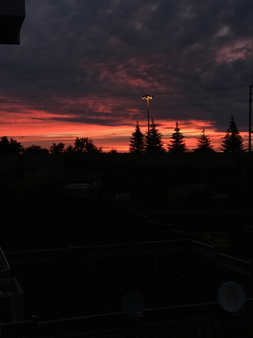 Morning view from my window. :) Brampton, Ontario, CA