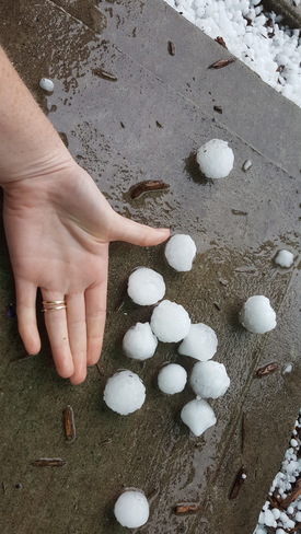 Unexpected Hail Olds, AB