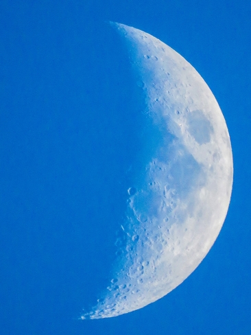 Evening moon Mississauga, ON