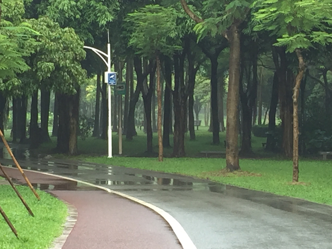 Park in Futian district, Shenzhen Shenzhen, Guangdong, CN