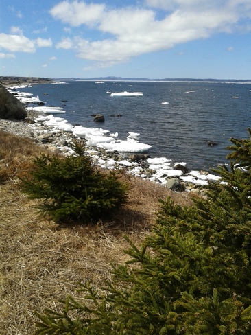 icey springtime in cbs conception bay south, nl