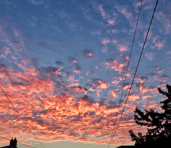 Morning Sky North York, Ontario | M9N 3L5